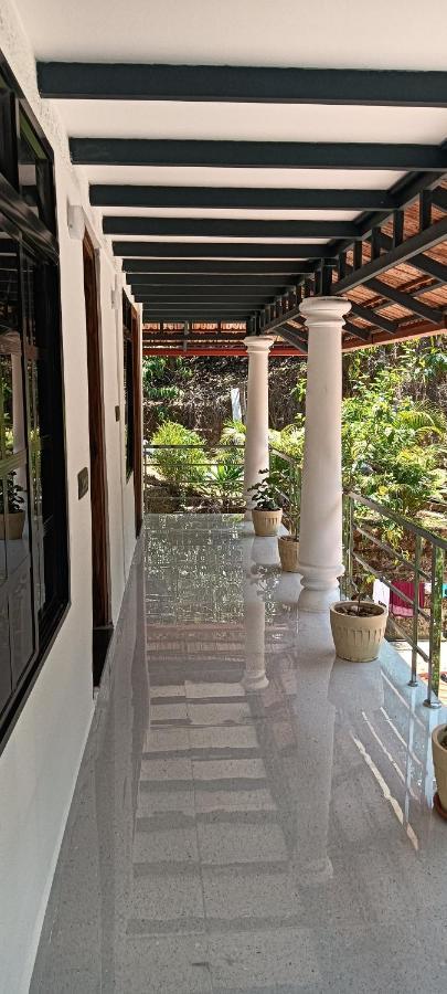 Kund Estate Madikeri